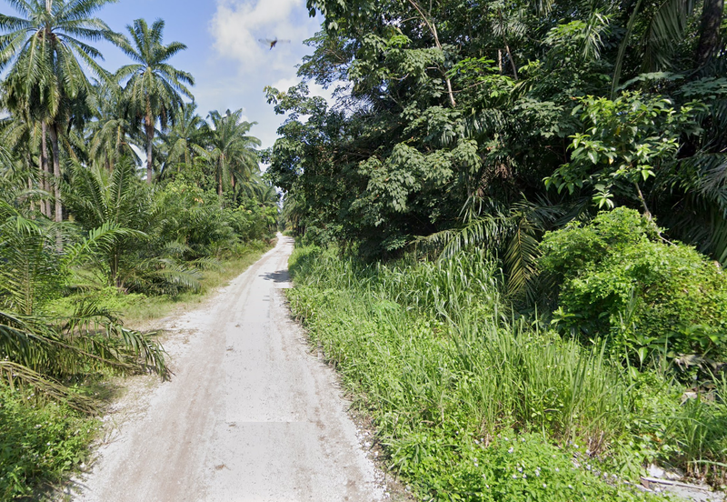 PEKAN SIMPANG TIGA IJOK