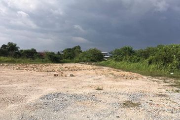 REVOLUSI HIJAU JOHAN SETIA