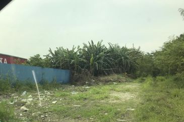 REVOLUSI HIJAU JOHAN SETIA