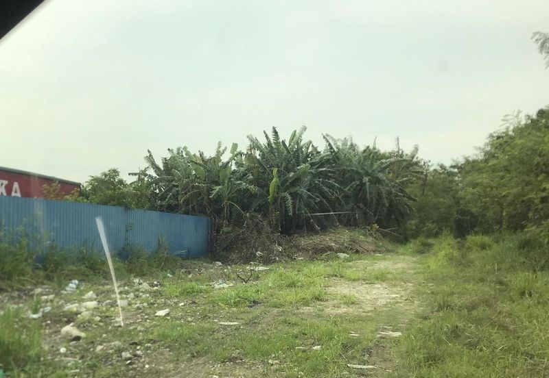 REVOLUSI HIJAU JOHAN SETIA