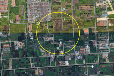 REVOLUSI HIJAU JOHAN SETIA