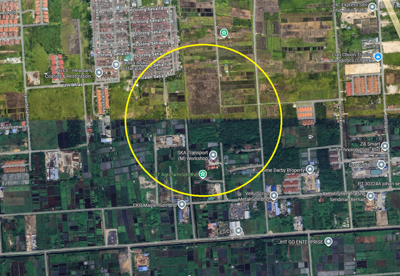 REVOLUSI HIJAU JOHAN SETIA