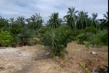 Sungai Kelambu, Tanjung Dua Belas,, Banting 