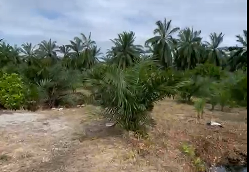 Sungai Kelambu, Tanjung Dua Belas,, Banting 