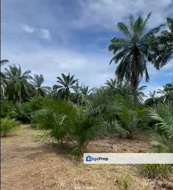 Sungai Kelambu, Tanjung Dua Belas,, Banting , Selangor, Banting