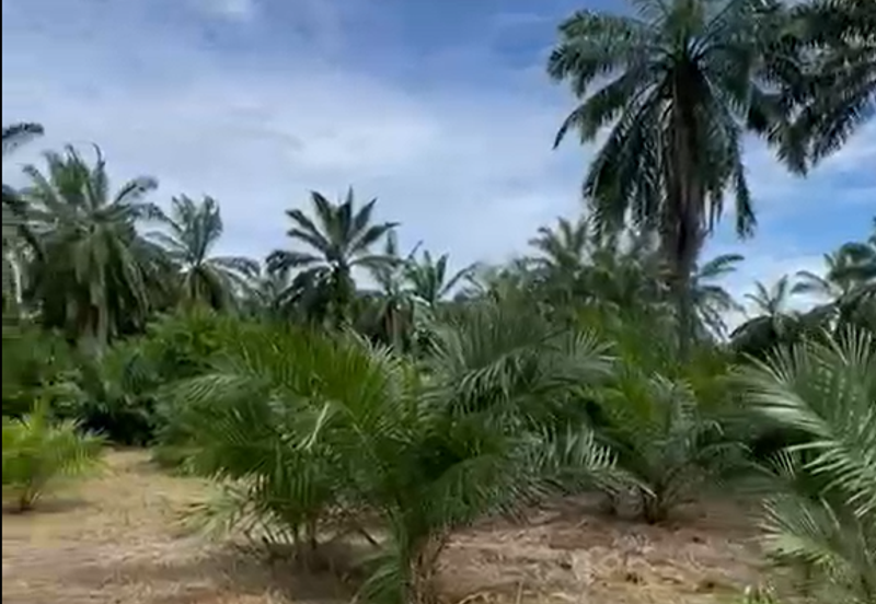 Sungai Kelambu, Tanjung Dua Belas,, Banting 