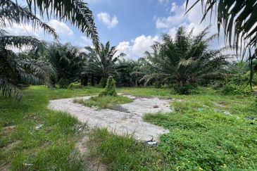 2.33 ac Agricultural land, Telok Mengkuang