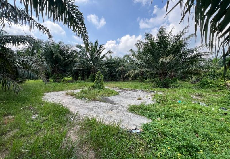 2.33 ac Agricultural land, Telok Mengkuang