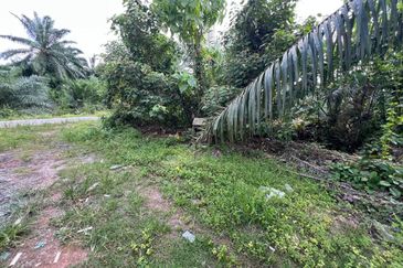 2.33 ac Agricultural land, Telok Mengkuang