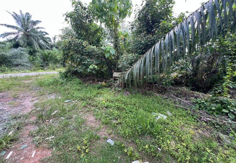 2.33 ac Agricultural land, Telok Mengkuang