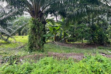 2.33 ac Agricultural land, Telok Mengkuang