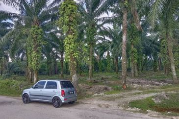 Jenjarom Industrial Park