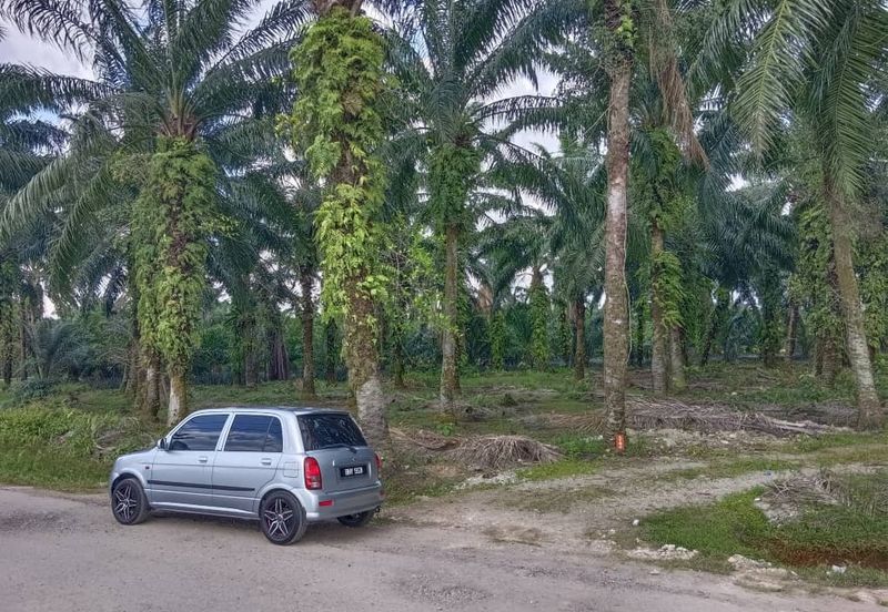 Jenjarom Industrial Park