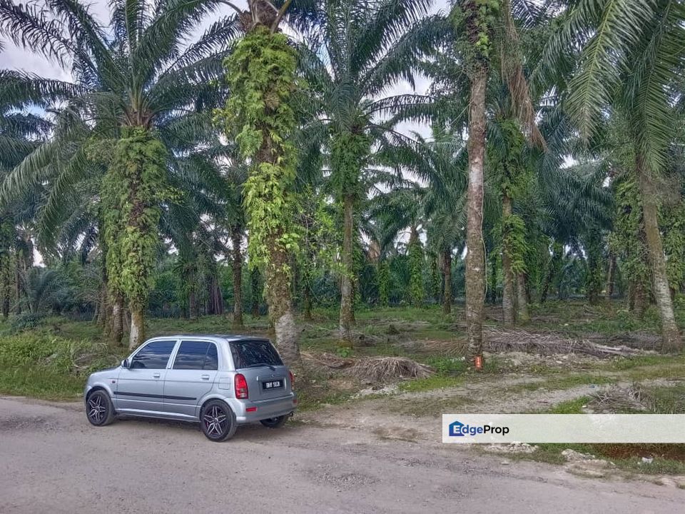 Industrial Zoning Land, Kawasan Perindustrian Jenjarom, Selangor for Sale, Selangor, Jenjarom