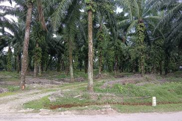 Jenjarom Industrial Park