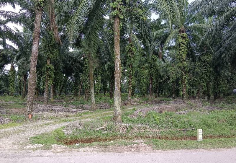 Jenjarom Industrial Park