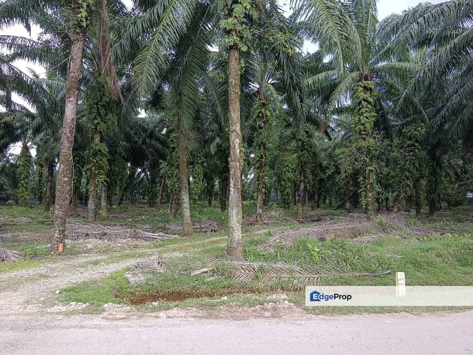 Industrial Zoning Land, Kawasan Perindustrian Jenjarom, Selangor for Sale, Selangor, Jenjarom