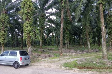 Jenjarom Industrial Park