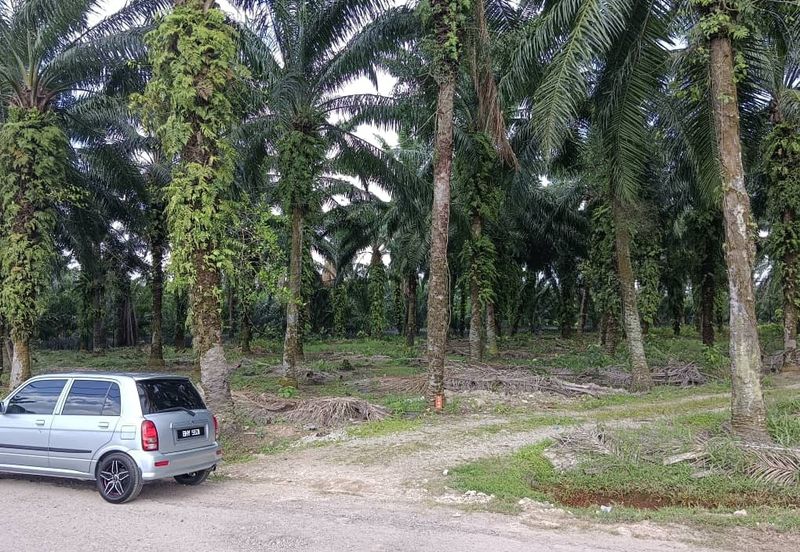 Jenjarom Industrial Park