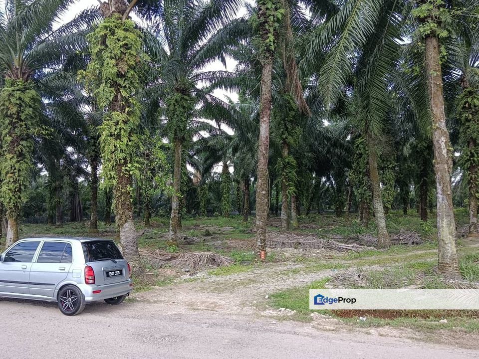 Industrial Zoning Land, Kawasan Perindustrian Jenjarom, Selangor for Sale, Selangor, Jenjarom