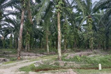 Jenjarom Industrial Park