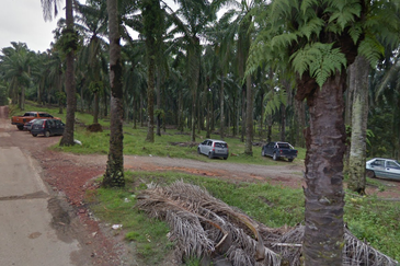 12 acres Industrial Zoning Land, Jalan DPP, Batu Arang for Sale