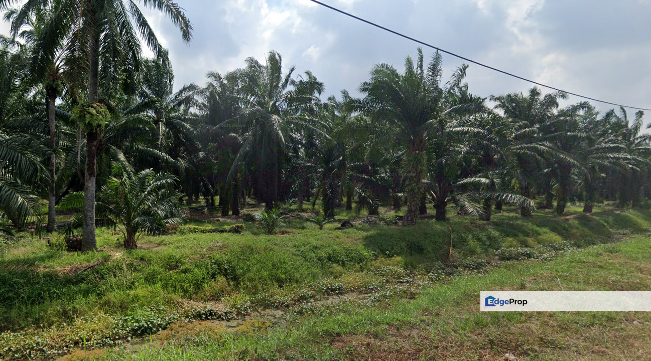 Freehold Telok Panglima Garang Agricultural Land for Sale, Selangor, Telok Panglima Garang