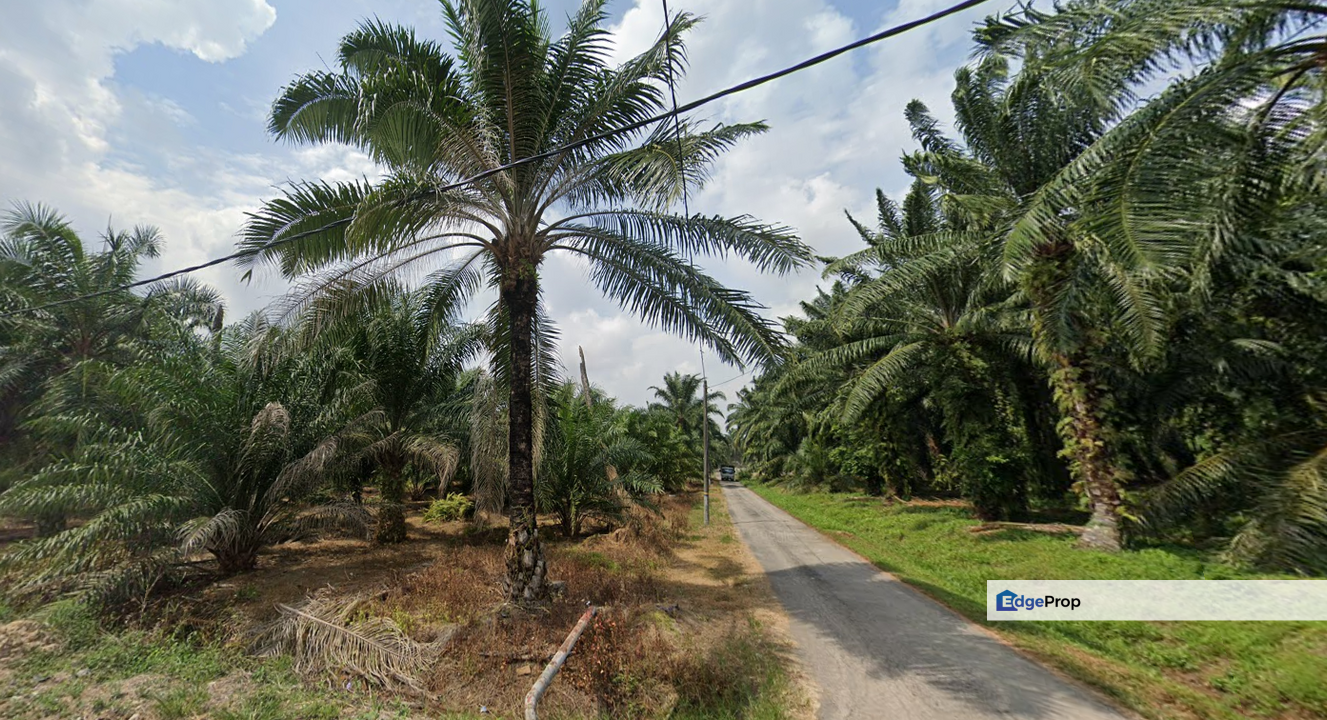 Freehold Telok Panglima Garang Agricultural Land for Sale, Selangor, Telok Panglima Garang