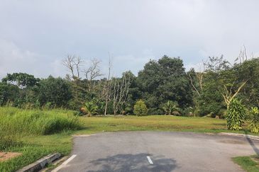 Jalan Rimba Riang 9/12