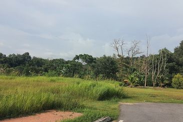 Jalan Rimba Riang 9/12