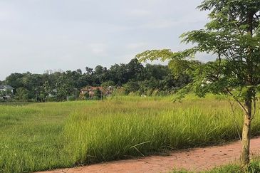 Jalan Rimba Riang 9/12