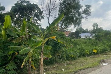 Industrial Zoning Land, Johan Setia, Klang for Sale