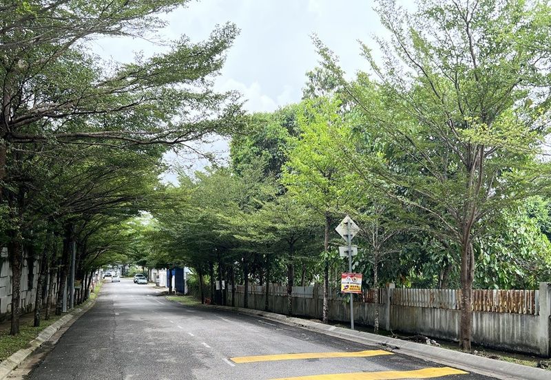 Tiara Hills, Taman Taynton View