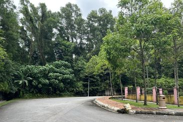 Tiara Hills, Taman Taynton View