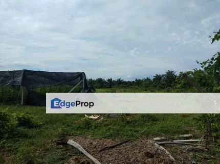 Agricultural Land at Morib, Kuala Langat for Sale, Selangor, Banting