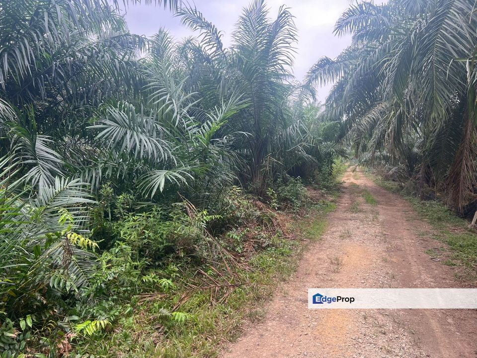 Sungai Kelambu, Banting , Selangor, Banting