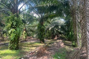 2 Acres Residential Zoning Land, Jalan Punia, Kampung Kebun Baru, Telok Panglima Garang for Sale