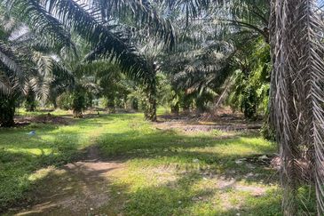 2 Acres Residential Zoning Land, Jalan Punia, Kampung Kebun Baru, Telok Panglima Garang for Sale