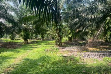 2 Acres Residential Zoning Land, Jalan Punia, Kampung Kebun Baru, Telok Panglima Garang for Sale