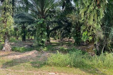 2 Acres Residential Zoning Land, Jalan Punia, Kampung Kebun Baru, Telok Panglima Garang for Sale
