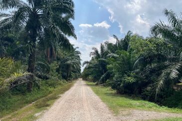 2 Acres Residential Zoning Land, Jalan Punia, Kampung Kebun Baru, Telok Panglima Garang for Sale