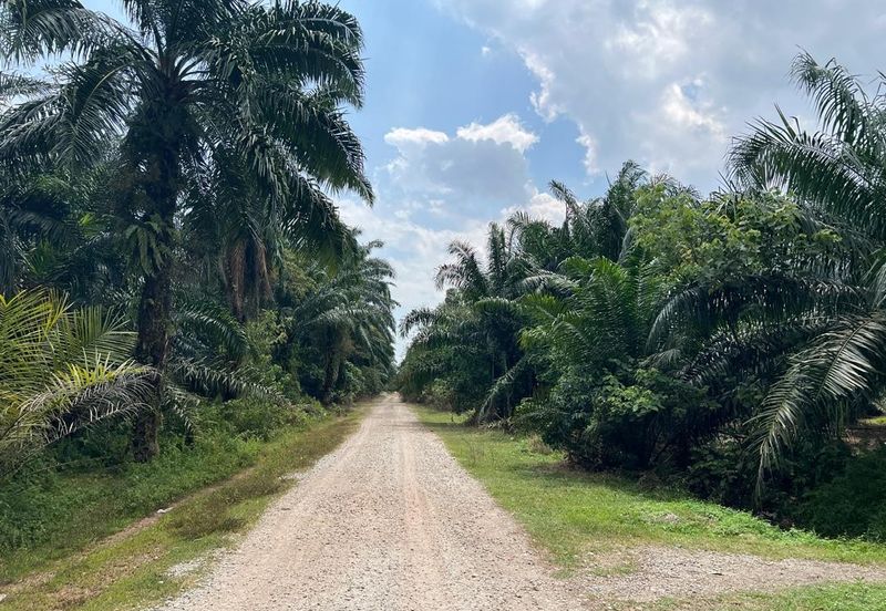 2 Acres Residential Zoning Land, Jalan Punia, Kampung Kebun Baru, Telok Panglima Garang for Sale