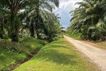 2 Acres Residential Zoning Land, Jalan Punia, Kampung Kebun Baru, Telok Panglima Garang for Sale