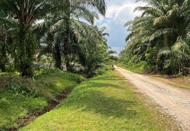2 Acres Residential Zoning Land, Jalan Punia, Kampung Kebun Baru, Telok Panglima Garang for Sale