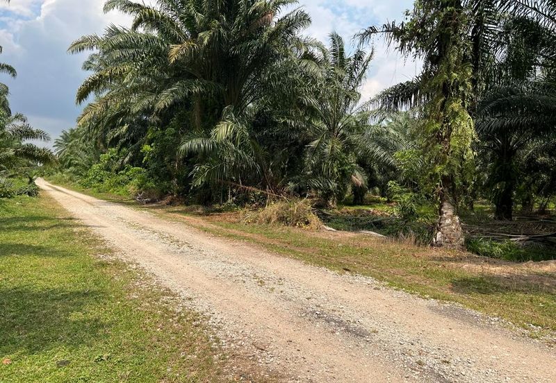2 Acres Residential Zoning Land, Jalan Punia, Kampung Kebun Baru, Telok Panglima Garang for Sale