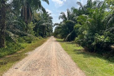 2 Acres Residential Zoning Land, Jalan Punia, Kampung Kebun Baru, Telok Panglima Garang for Sale