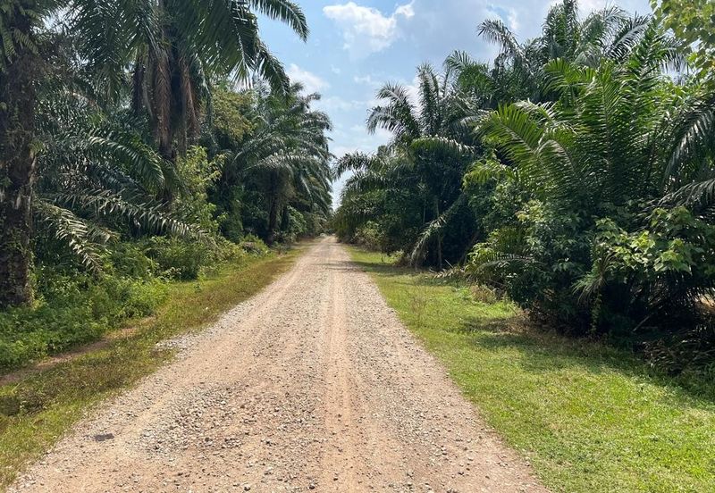 2 Acres Residential Zoning Land, Jalan Punia, Kampung Kebun Baru, Telok Panglima Garang for Sale