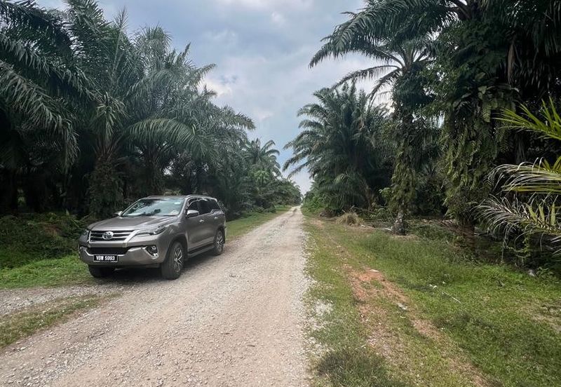 2 Acres Residential Zoning Land, Jalan Punia, Kampung Kebun Baru, Telok Panglima Garang for Sale