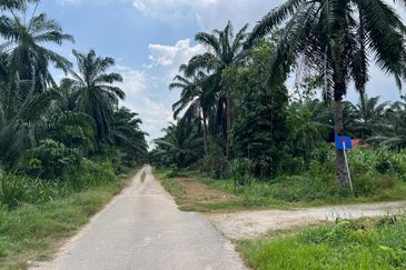 2 Acres Residential Zoning Land, Jalan Punia, Kampung Kebun Baru, Telok Panglima Garang for Sale