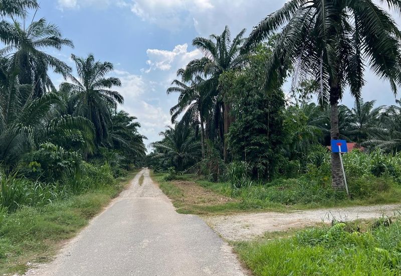 2 Acres Residential Zoning Land, Jalan Punia, Kampung Kebun Baru, Telok Panglima Garang for Sale